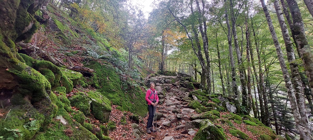 ariege6.jpg